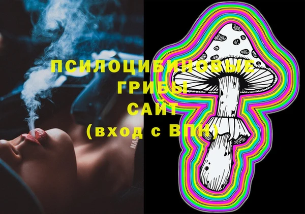 тгк Ростов