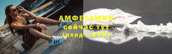 ГАЛЛЮЦИНОГЕННЫЕ ГРИБЫ Ельня