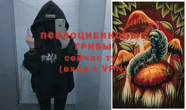 тгк Ростов