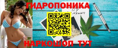 гидра Кинель