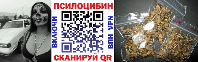 Псилоцибиновые грибы Magic Shrooms  блэк спрут ONION  Сланцы  хочу  